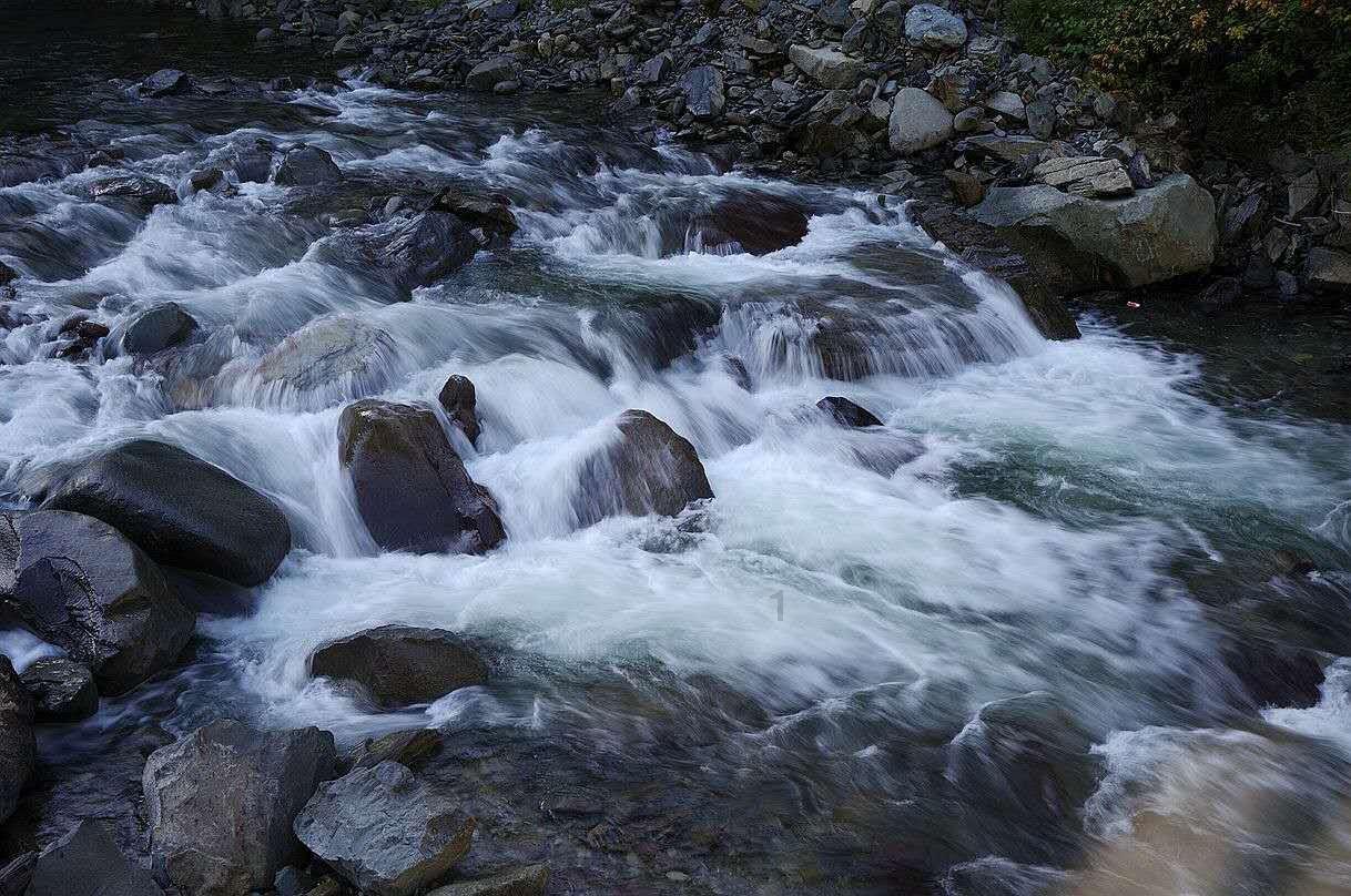 能在航旅纵横上预选美联航班吗- 专业问答类网站